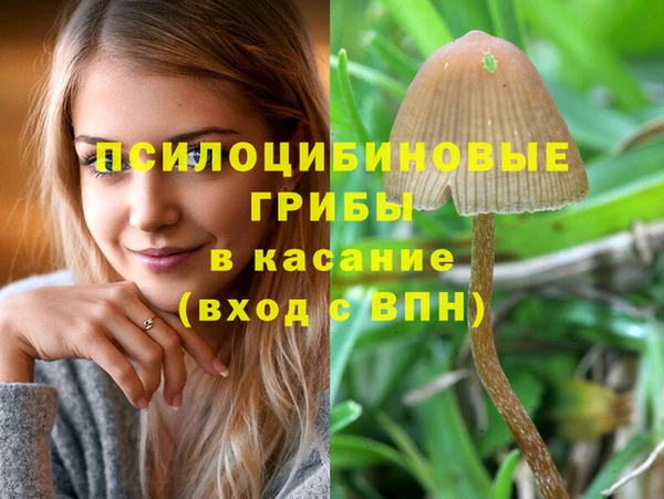 Альфа ПВП Семикаракорск