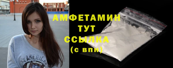 крисы Абаза