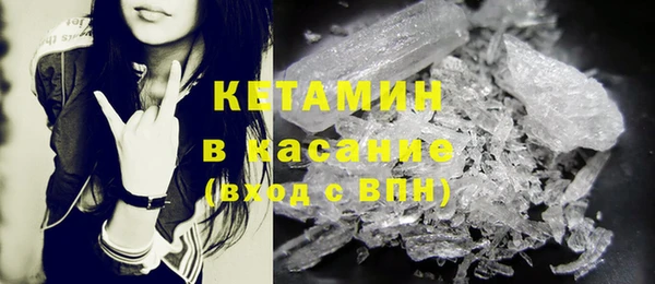 крисы Абаза
