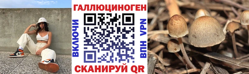 Псилоцибиновые грибы MAGIC MUSHROOMS  купить   Вилюйск 